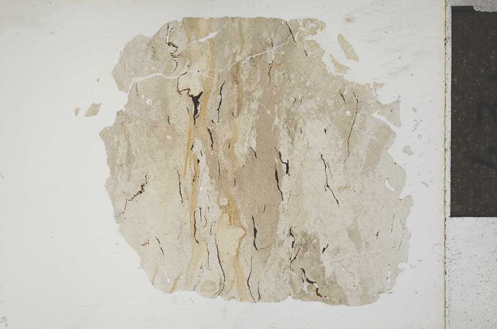 Plane Polarized, S14266