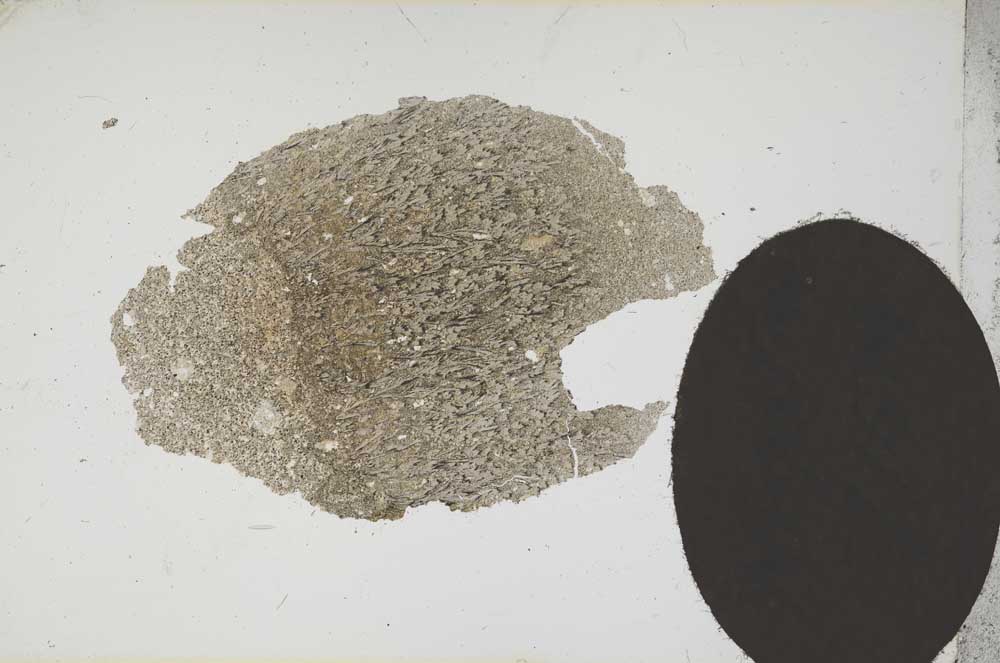 Plane Polarized, S14267