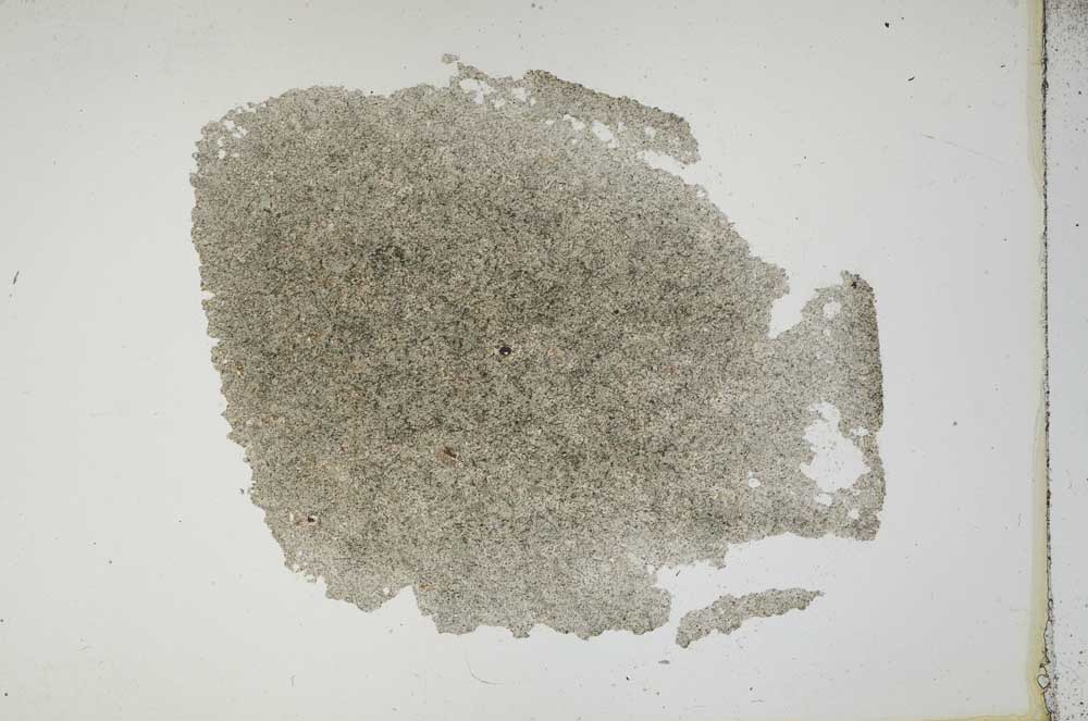 Plane Polarized, S14271