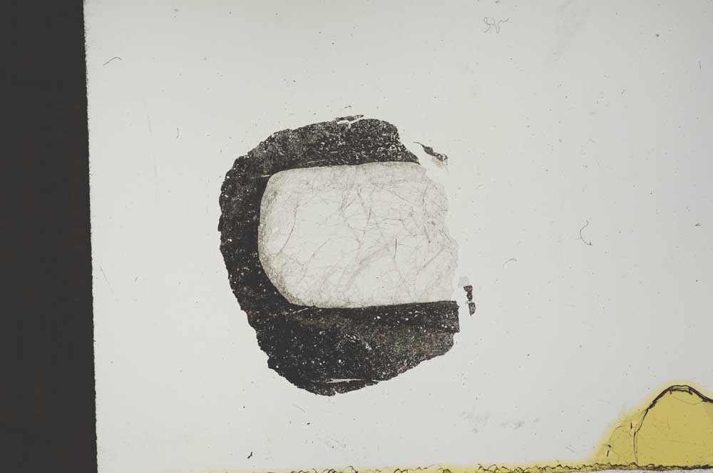 Plane Polarized, S14329