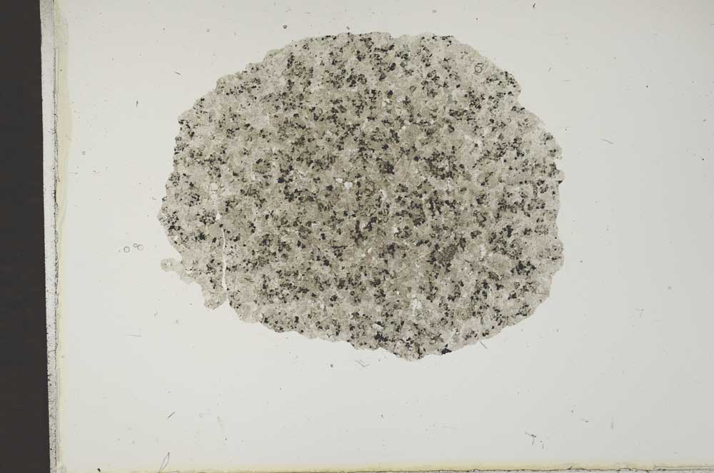 Plane Polarized, S14358