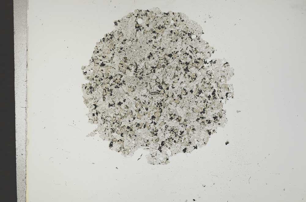 Plane Polarized, S14386