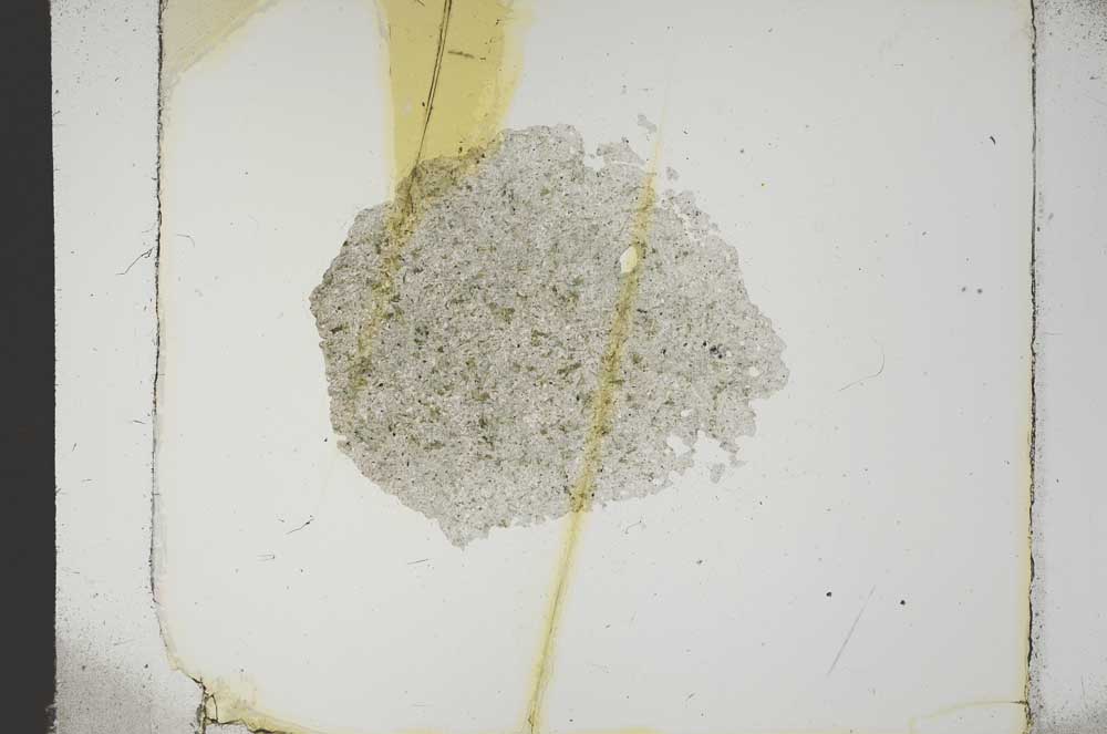 Plane Polarized, S14418