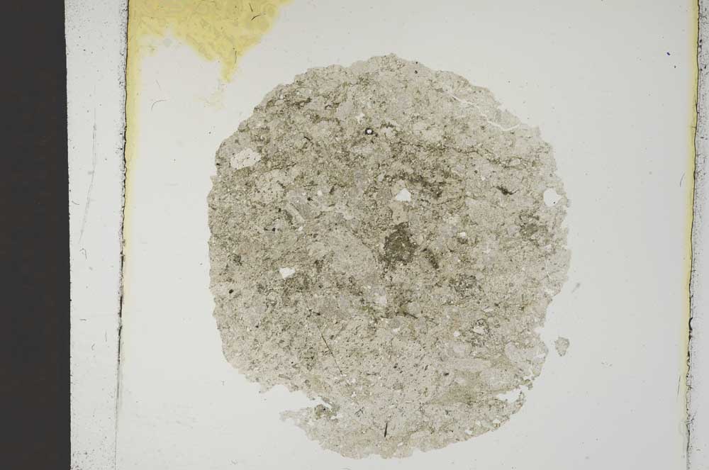 Plane Polarized, S14431