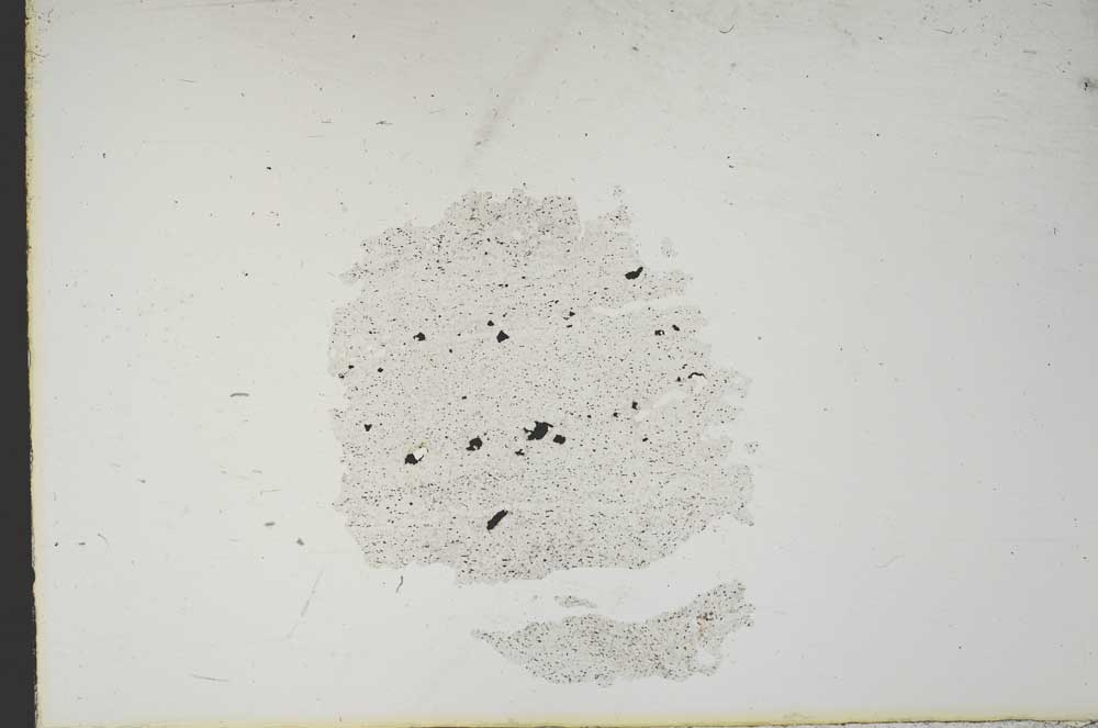 Plane Polarized, S14434