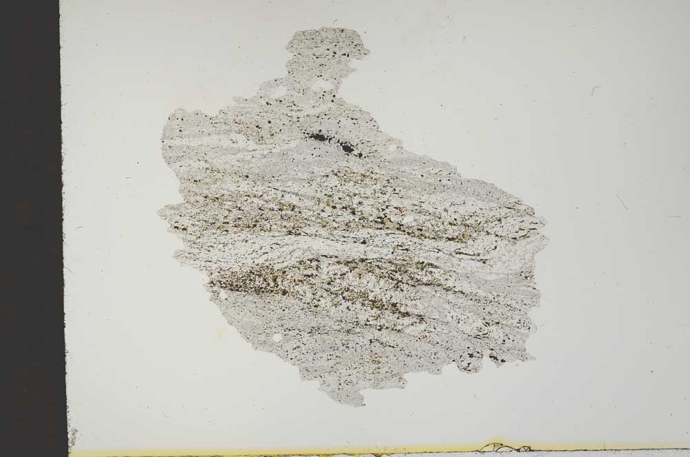 Plane Polarized, S14435