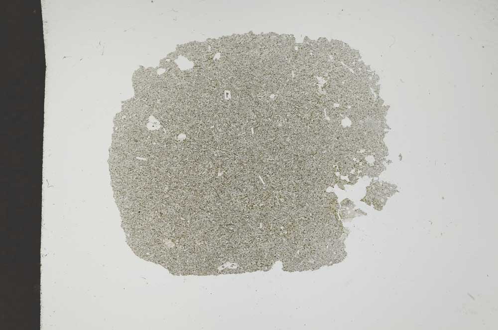 Plane Polarized, S14444