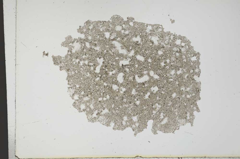 Plane Polarized, S14448