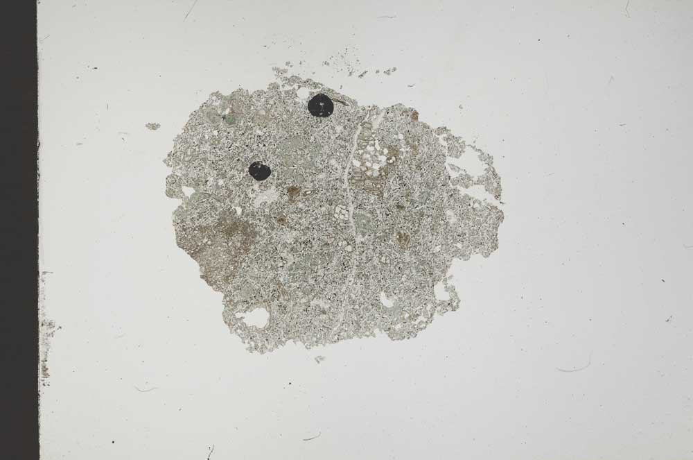 Plane Polarized, S14453