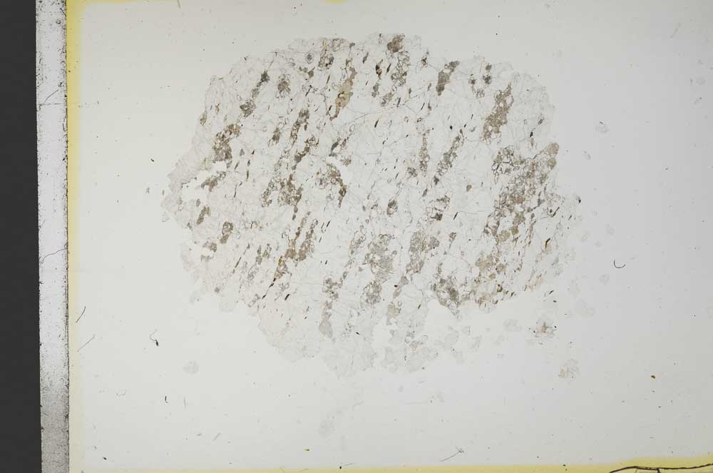 Plane Polarized, S14479
