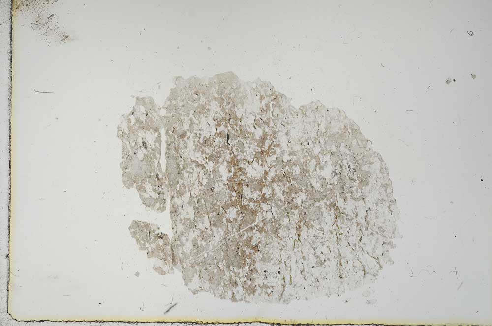 Plane Polarized, S14488