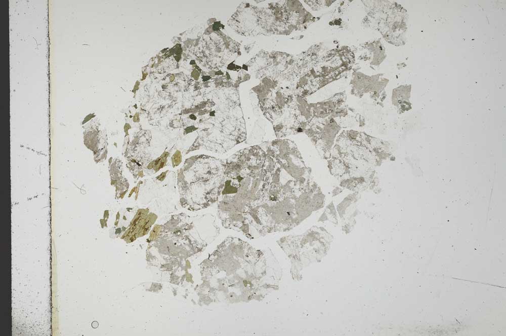 Plane Polarized, S14496