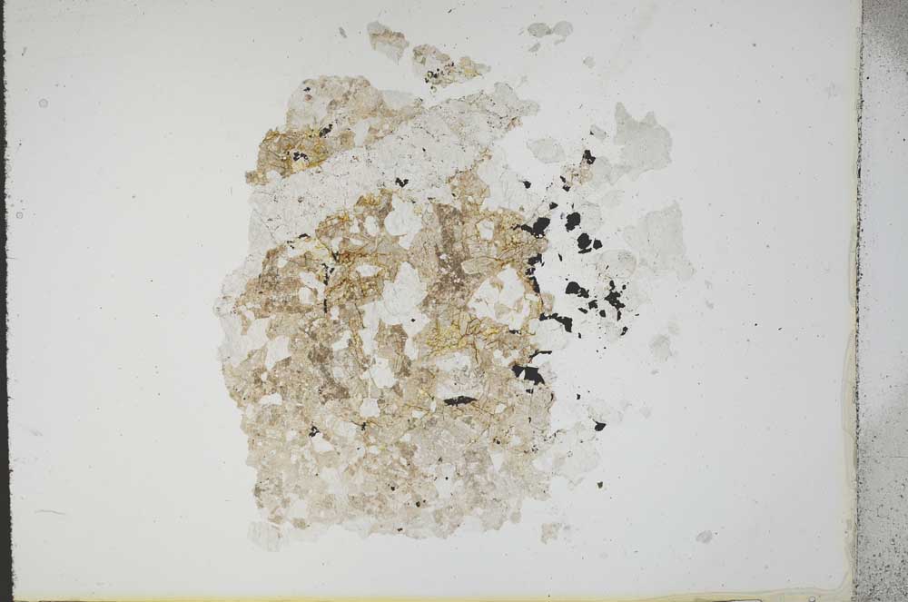 Plane Polarized, S14498