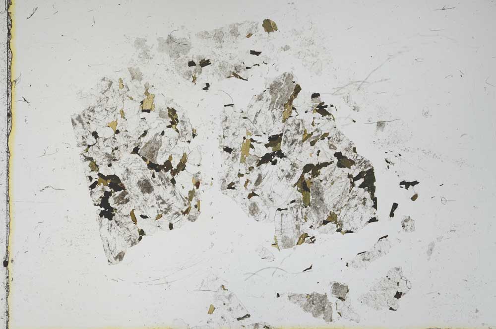 Plane Polarized, S14507