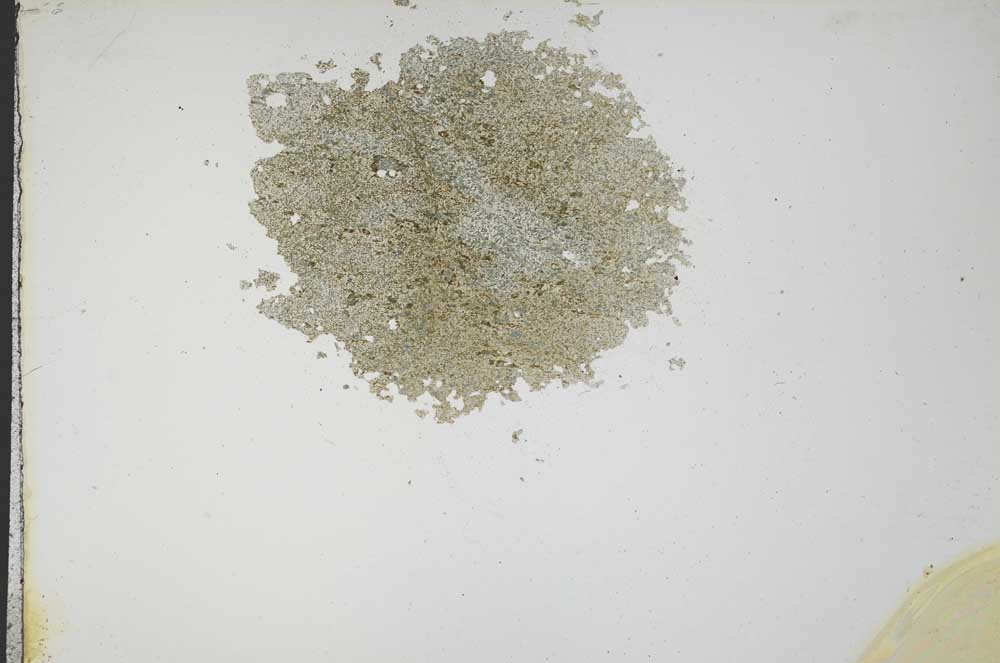 Plane Polarized, S14554
