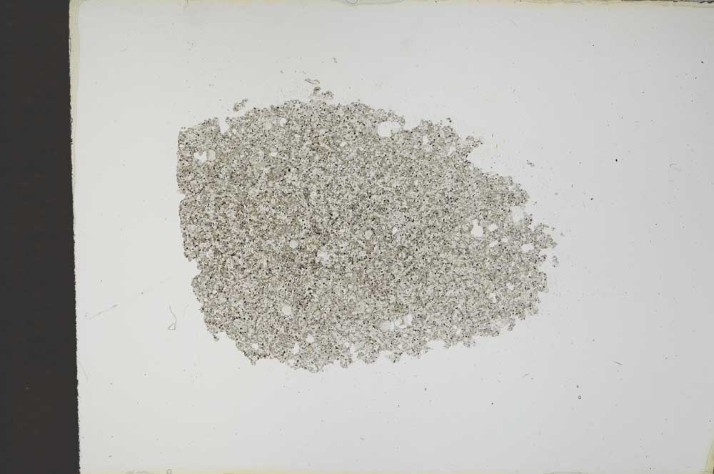 Plane Polarized, S14559