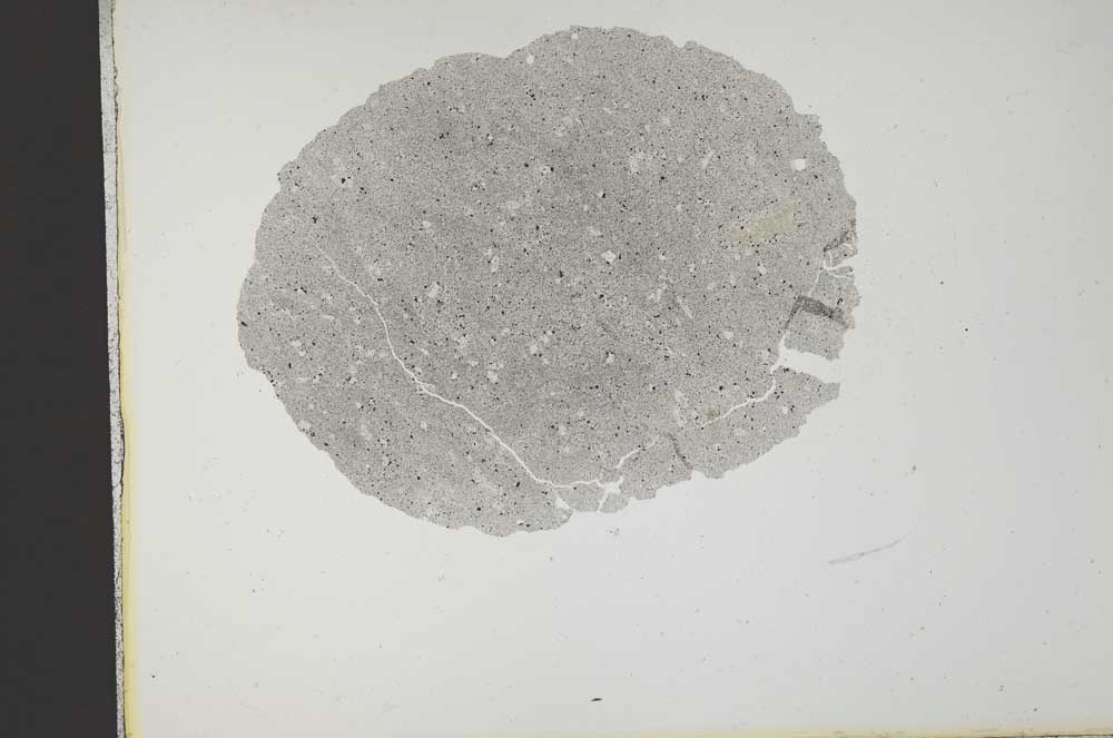 Plane Polarized, S14585