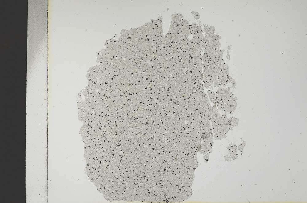 Plane Polarized, S14587