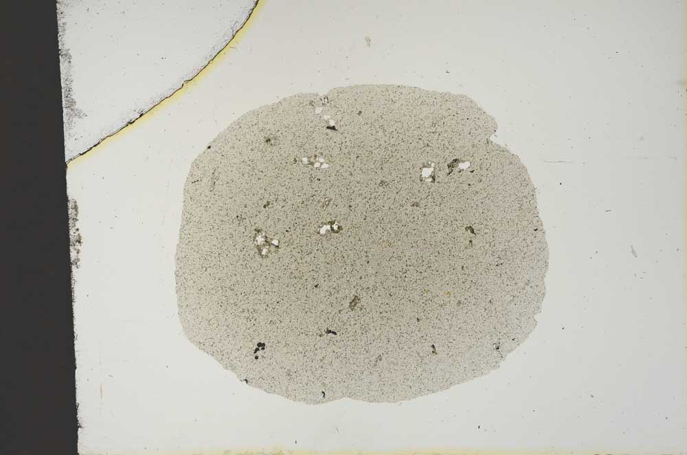 Plane Polarized, S14609