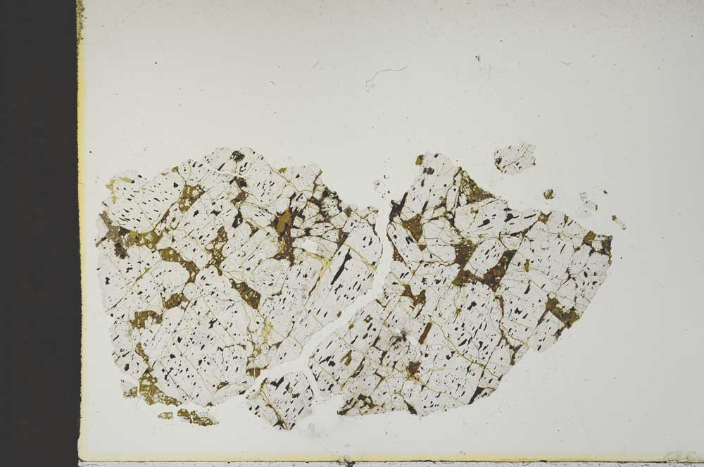 Plane Polarized, S14667