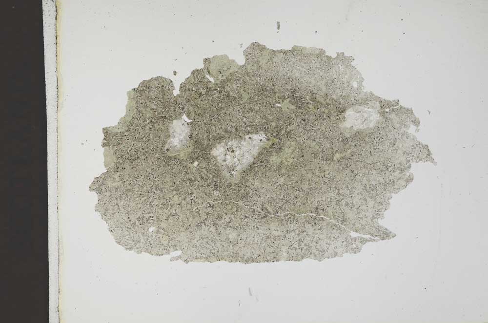 Plane Polarized, S14677