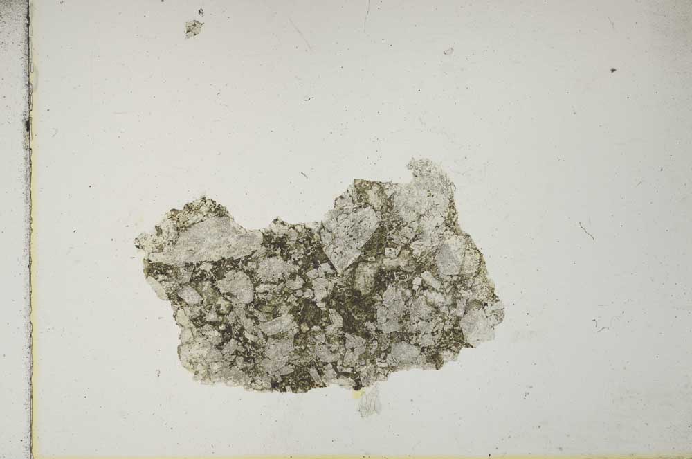 Plane Polarized, S14705
