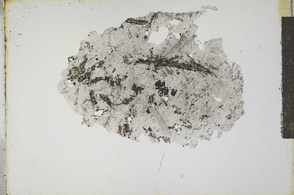 Plane Polarized, S14743