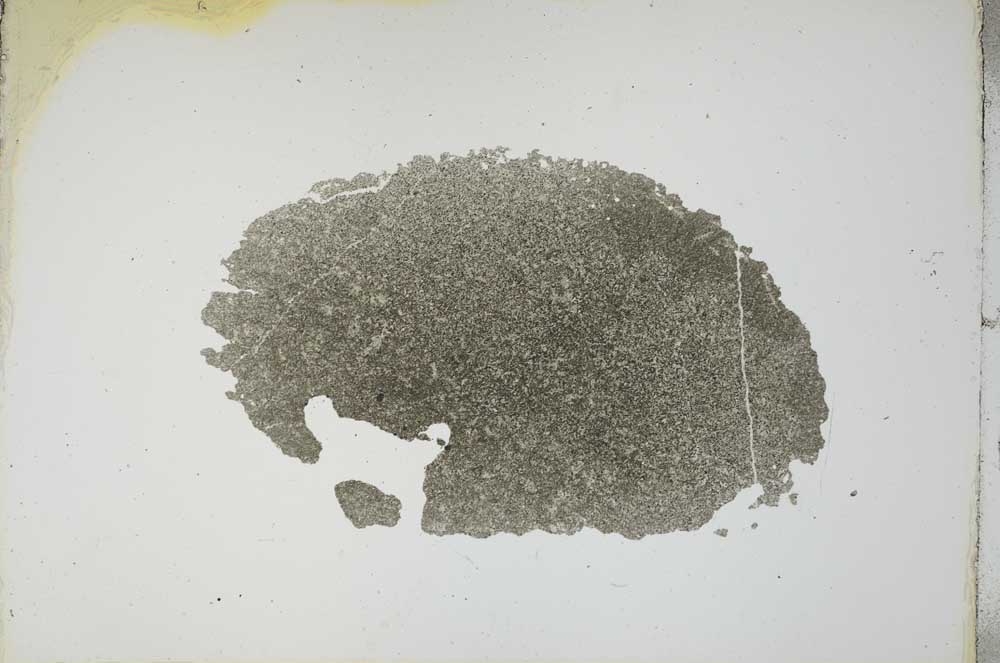 Plane Polarized, S14755