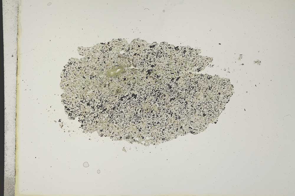 Plane Polarized, S14812