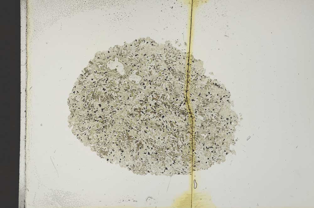 Plane Polarized, S14829