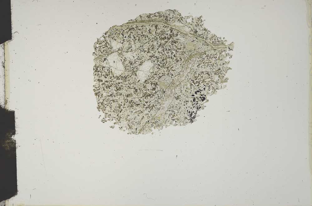 Plane Polarized, S14838