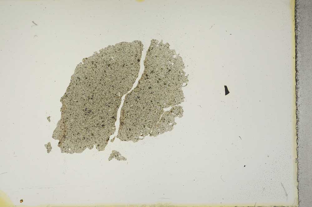 Plane Polarized, S14860