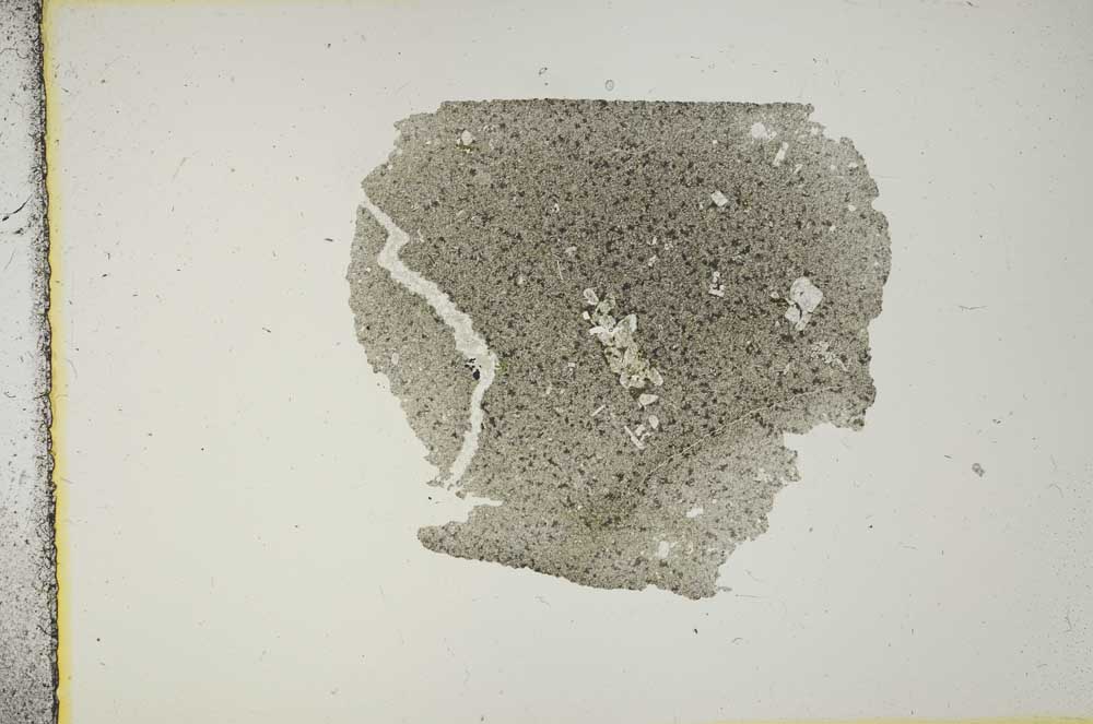 Plane Polarized, S14872