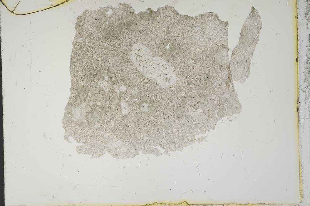 Plane Polarized, S14927
