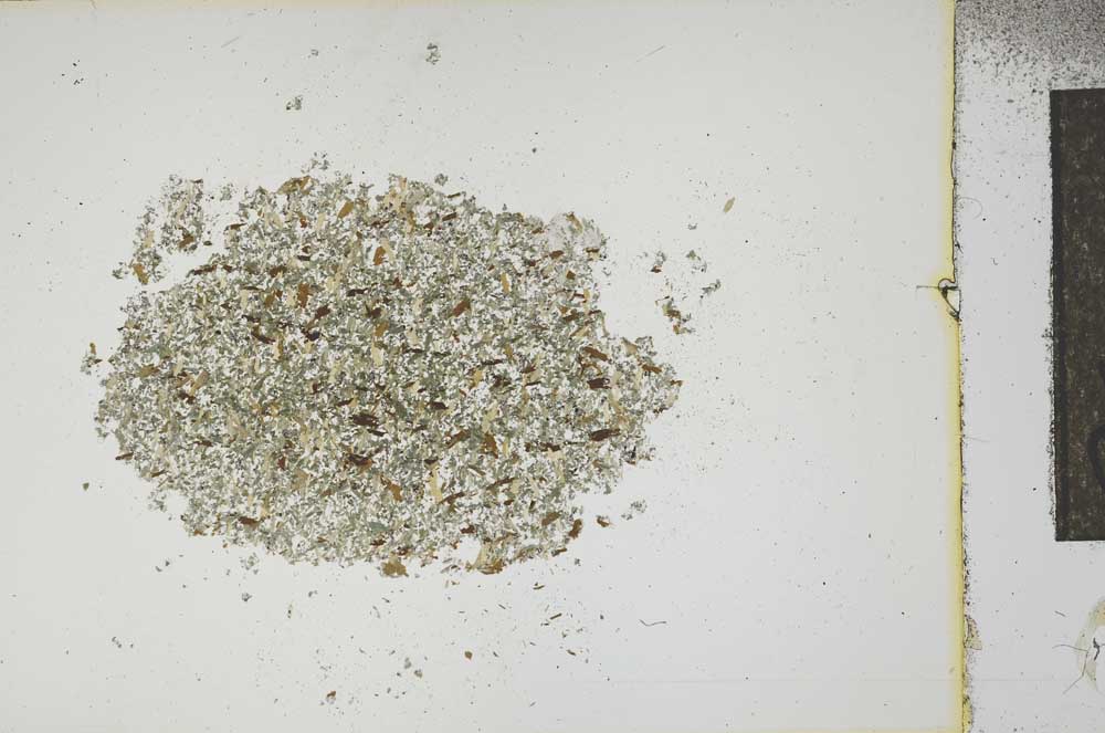 Plane Polarized, S14935