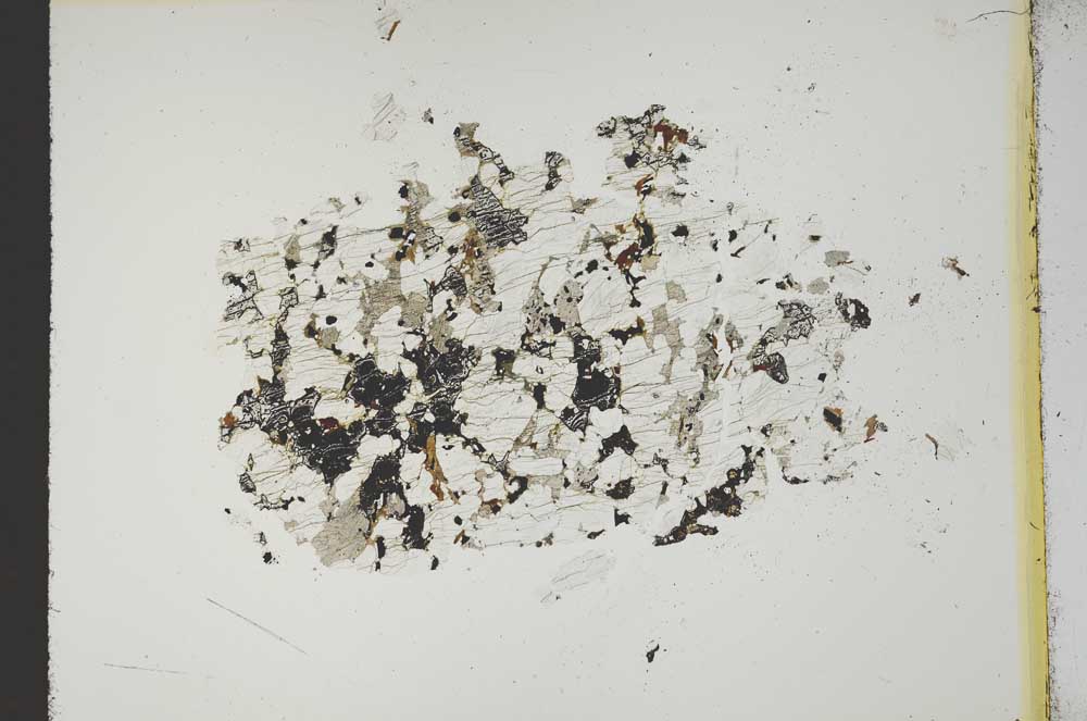Plane Polarized, S14939