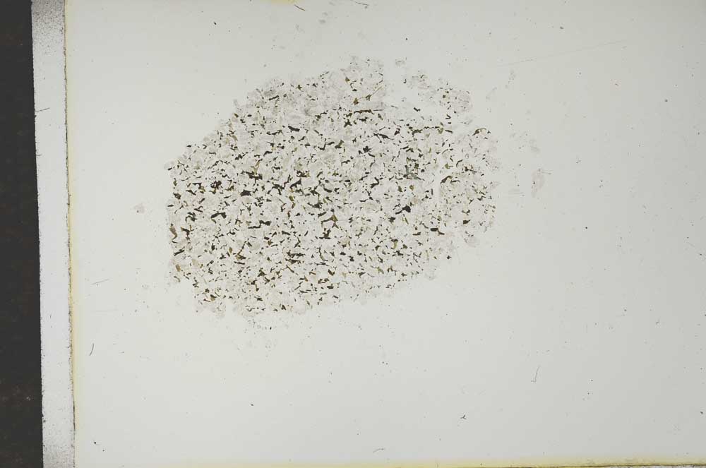 Plane Polarized, S14943