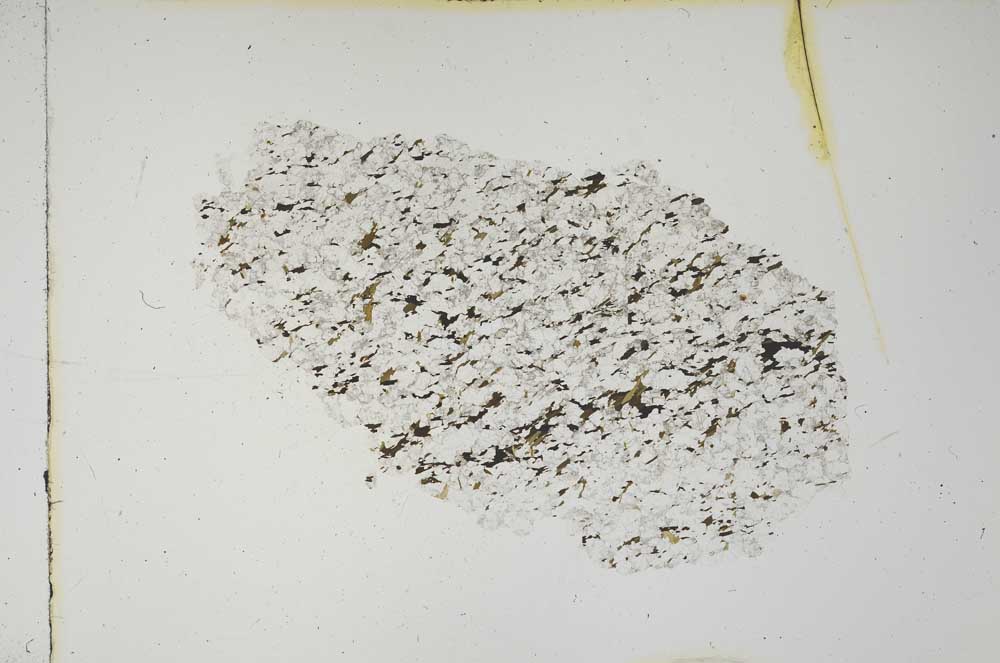 Plane Polarized, S14946