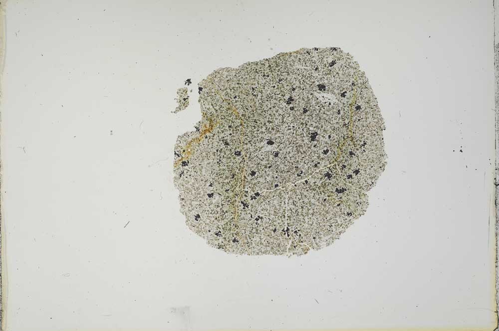 Plane Polarized, S14962