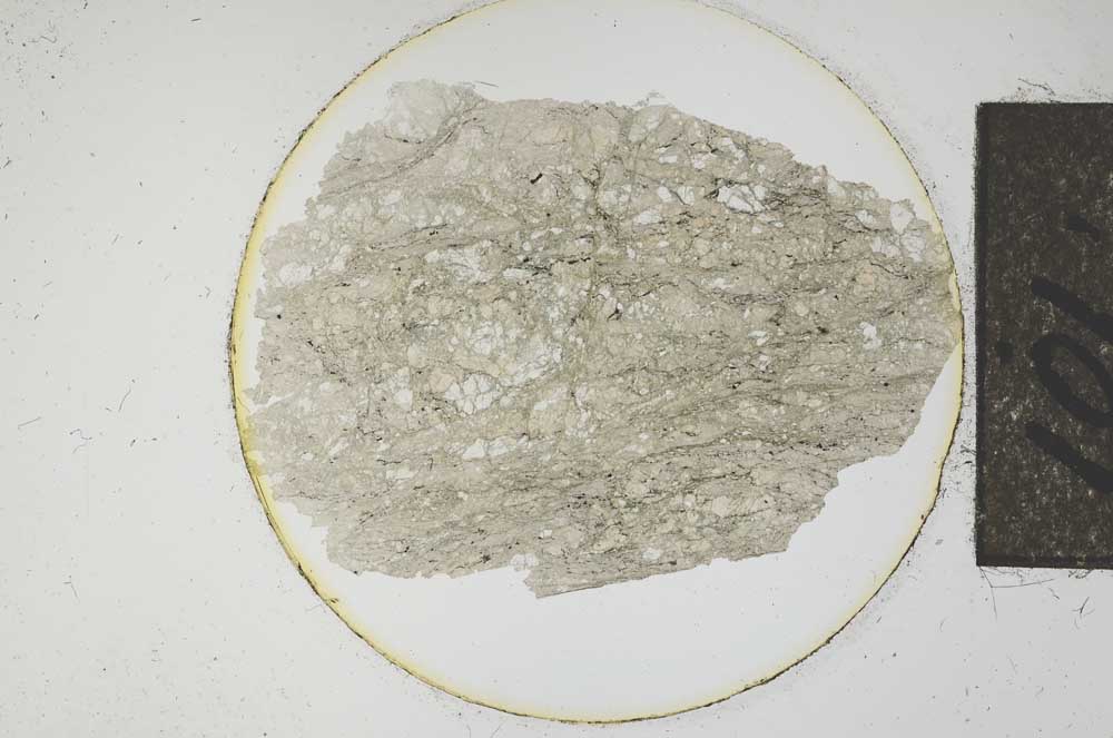 Plane Polarized, S14994