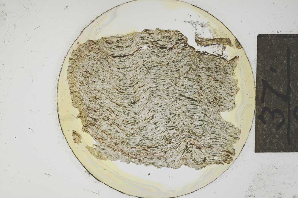 Plane Polarized, S15042