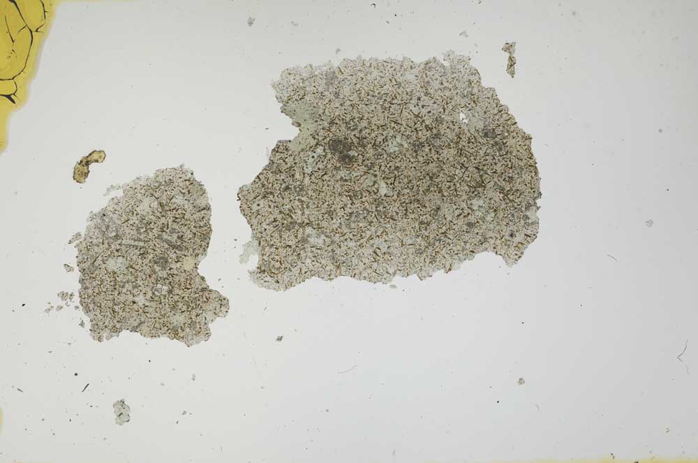 Plane Polarized, S15075