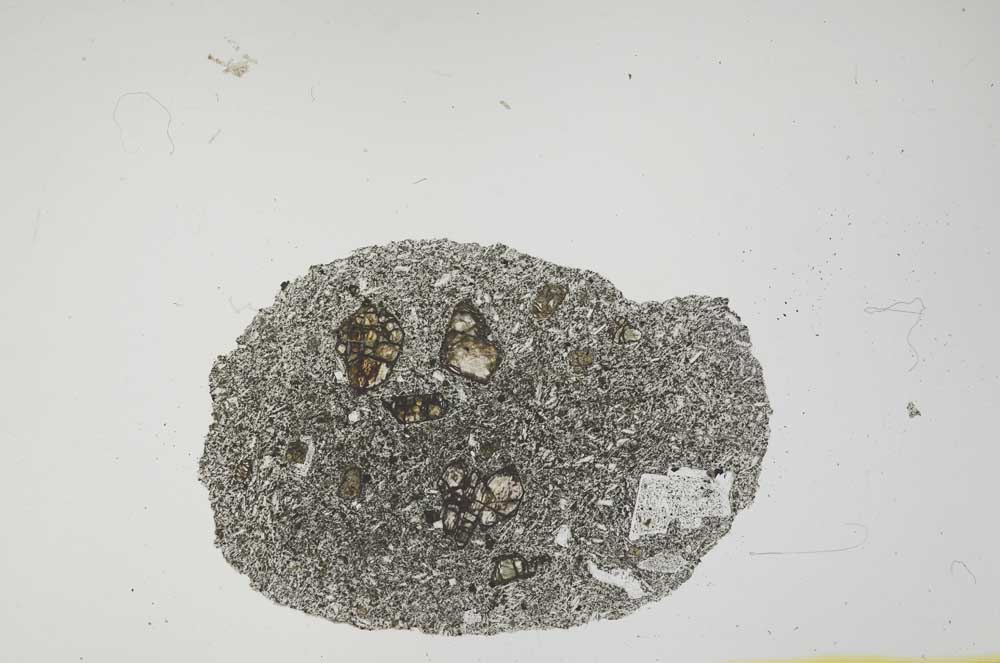 Plane Polarized, S15125