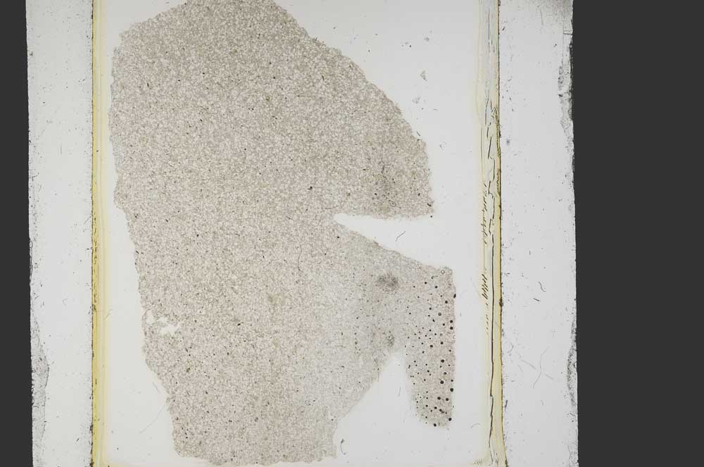 Plane Polarized, S15158