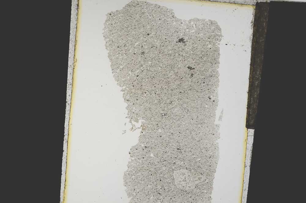 Plane Polarized, S15178