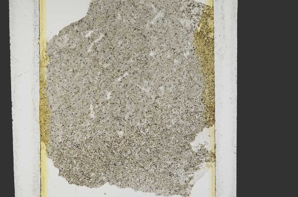 Plane Polarized, S15187