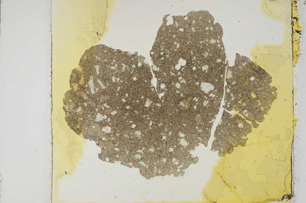 Plane Polarized, S15189