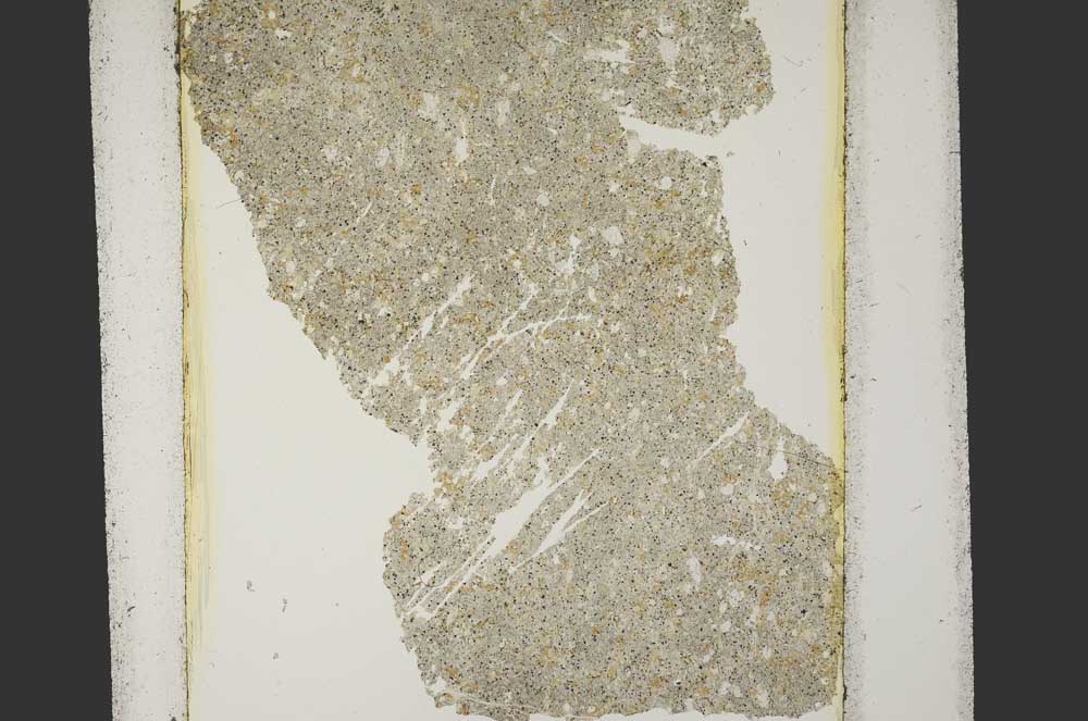 Plane Polarized, S15201