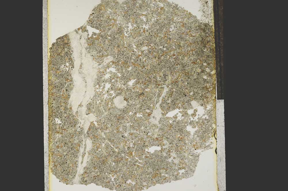 Plane Polarized, S15203