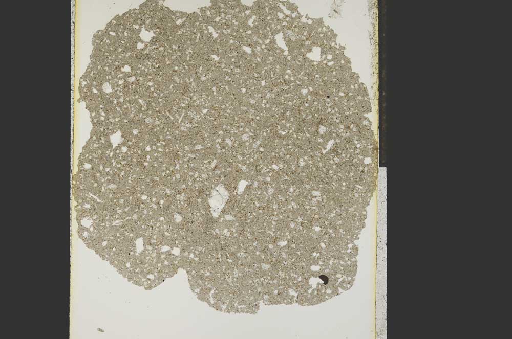 Plane Polarized, S15204